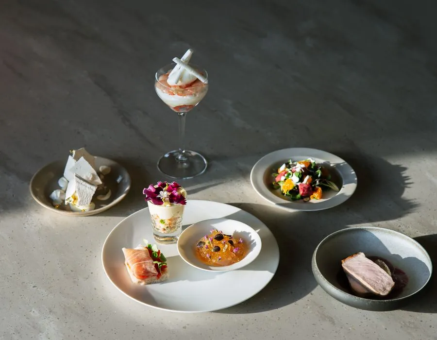 Selection of fine dining tasting plates